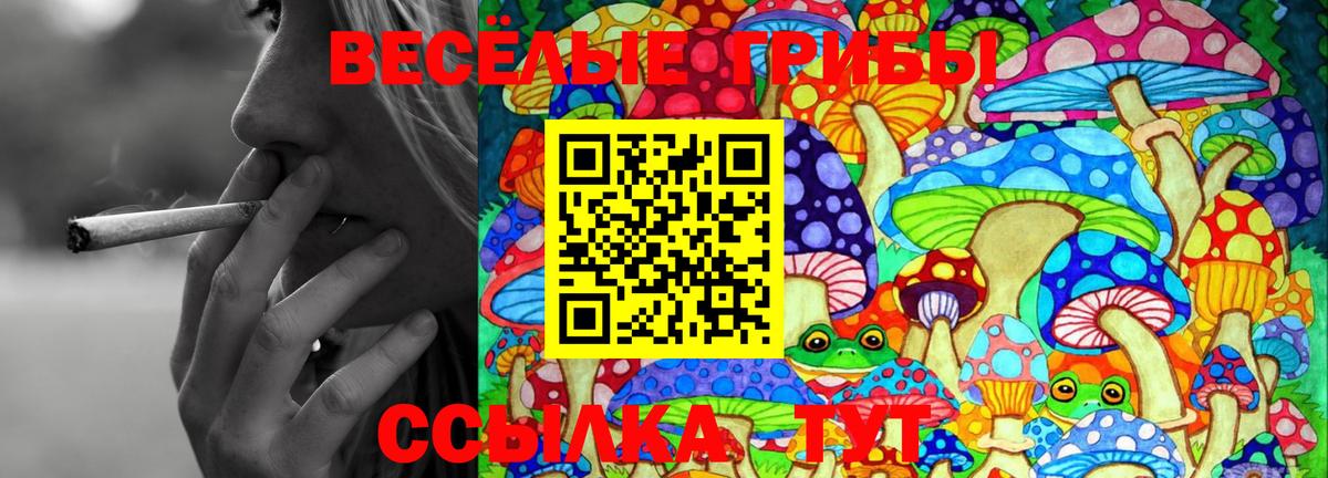 Галлюциногенные грибы MAGIC MUSHROOMS Белая Калитва