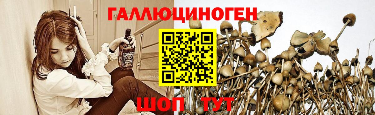 Белая Калитва  Псилоцибиновые грибы GOLDEN TEACHER  Вход с VPN  Псилоцибиновые грибы MAGIC MUSHROOMS 