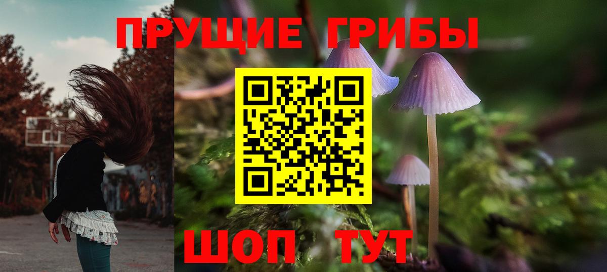 Псилоцибиновые грибы Psilocybe  Белая Калитва  Галлюциногенные грибы MAGIC MUSHROOMS 